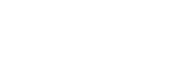 27BB DDMP logo white